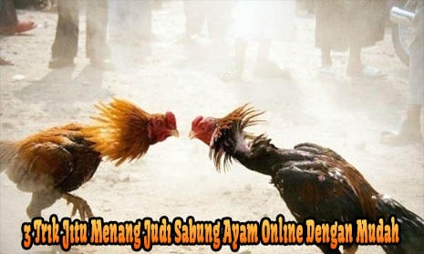 3 Trik Jitu Menang Judi Sabung Ayam Online Dengan Mudah